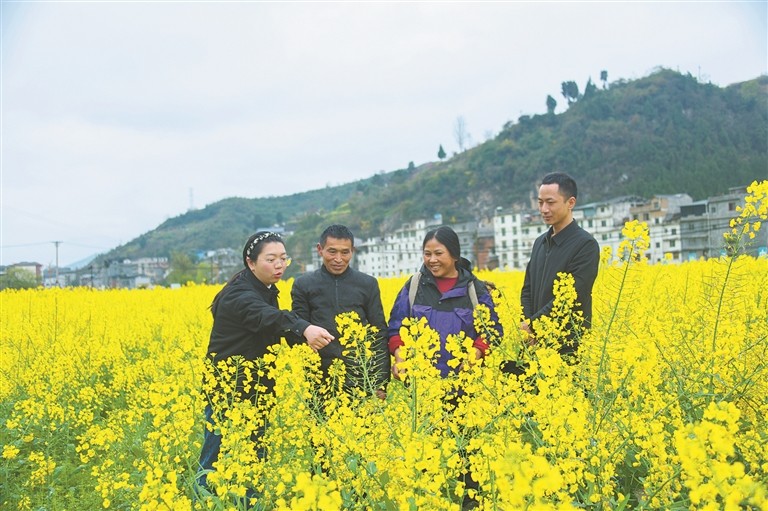 ����۲�ح��ȫ������ε��³�Ч���۰�������