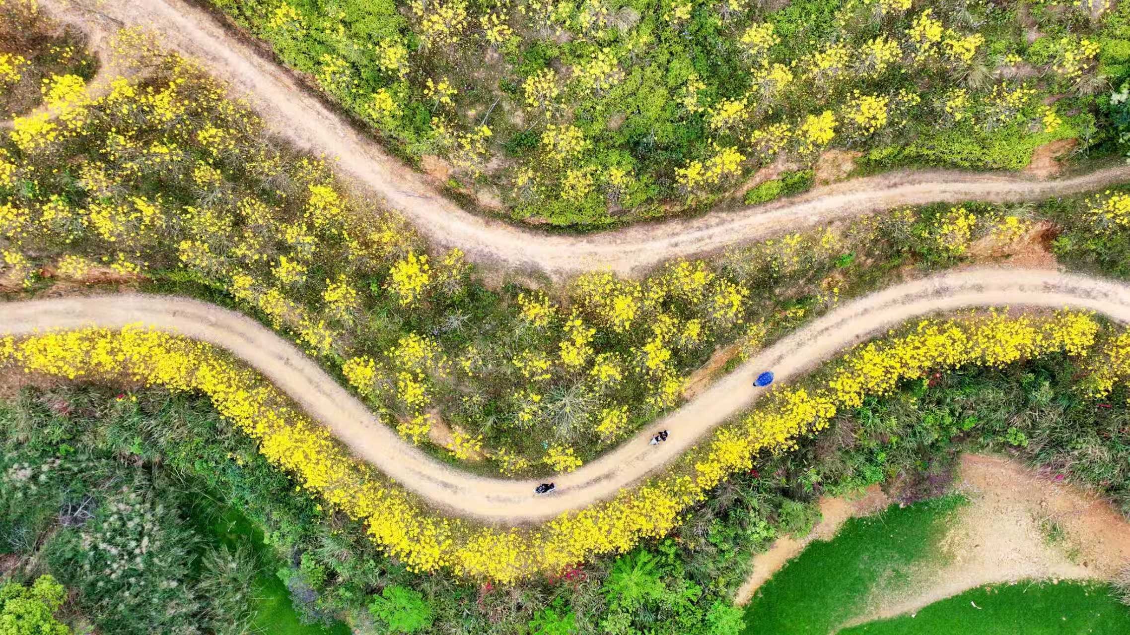 ��ͷ���ٴ������� ��ɫ���з�