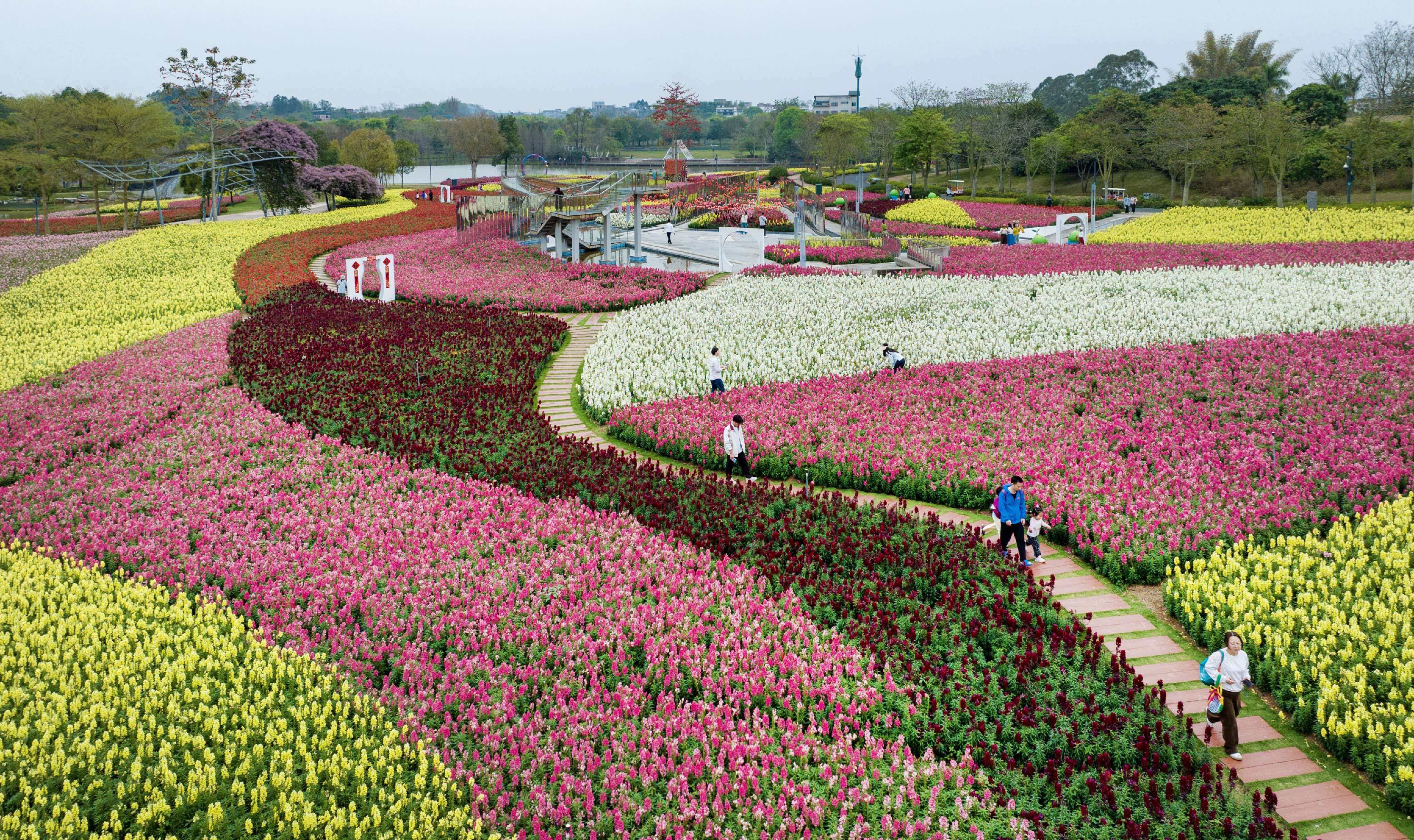 ��ͷ���ٴ������� ��ɫ���з�