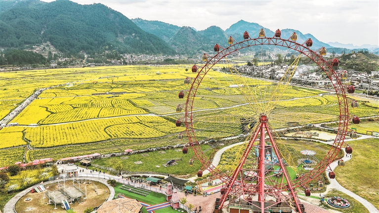 �۲�ح��׼�ල�ƽ���ͬ��ԣ