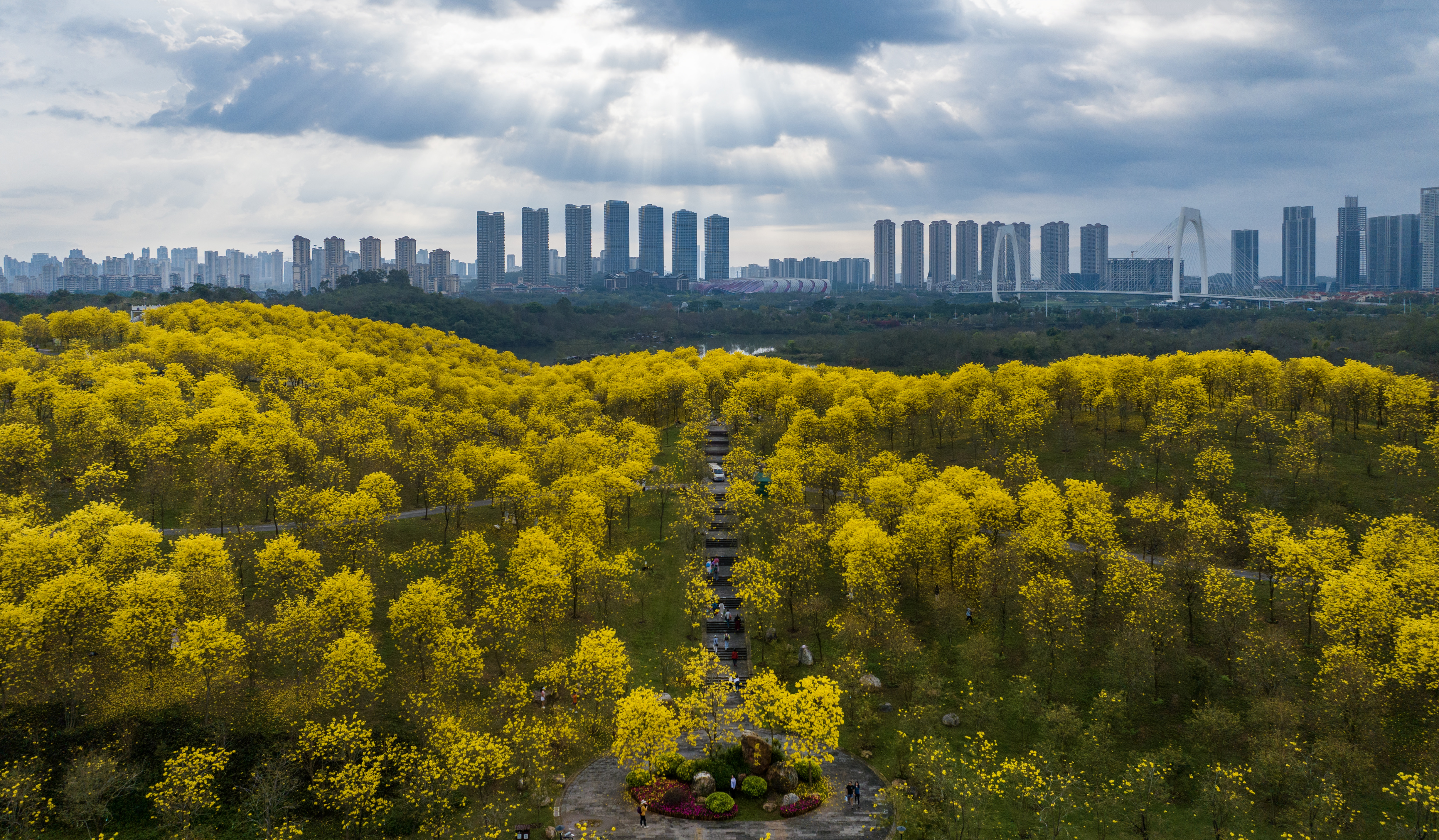 镜头丨壮美广西·三月