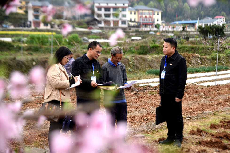 ��ͷح��Ѳ���������ල��Ч