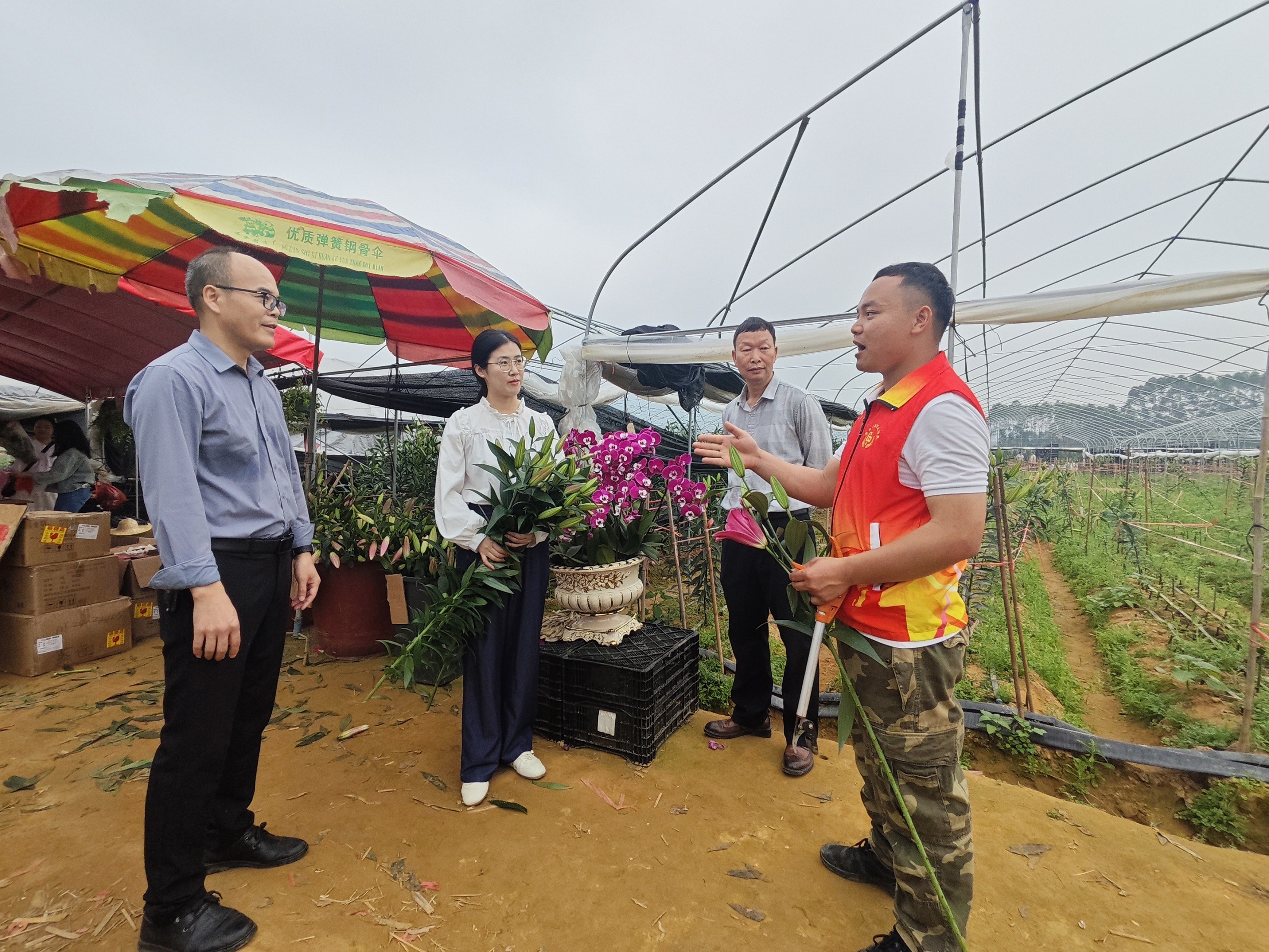 ��ͷ���ල������ɫ��ҵ��չ