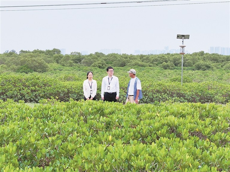 ���練�������ߡ����߰�����ح����������ɭ��