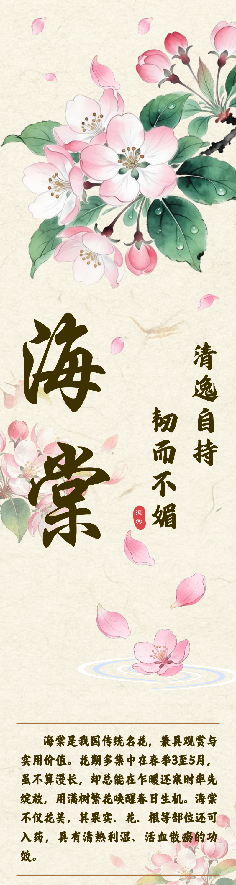 ��������ح���ģ������Գ�  �Ͷ�����