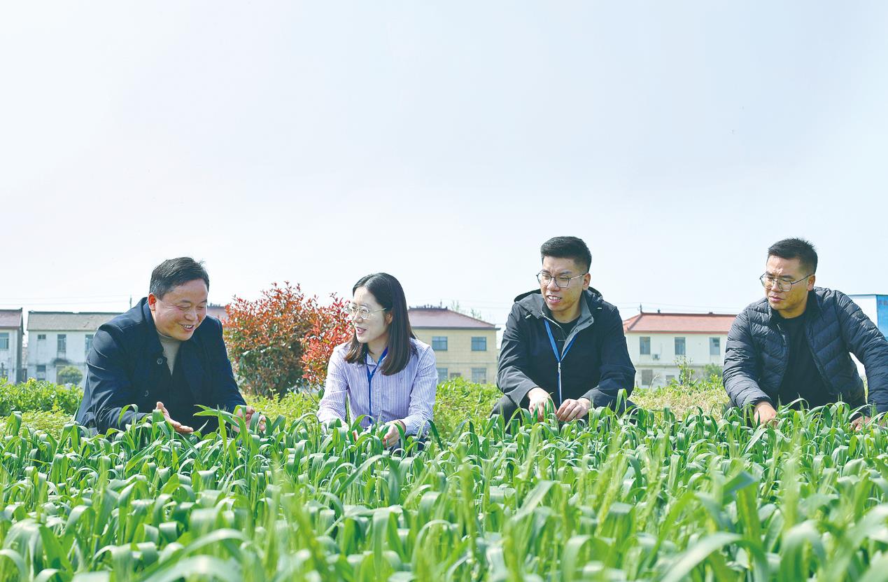 ��ȹ�עح��һ�ݽ��顱�١�һ�����Ρ�