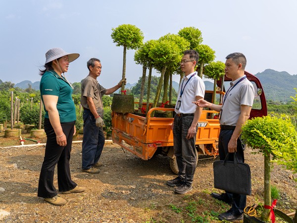 ����֮��حȷ����֮��ũ�ݼ���ũ