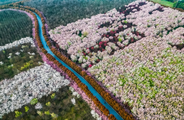 ��ͷح��������