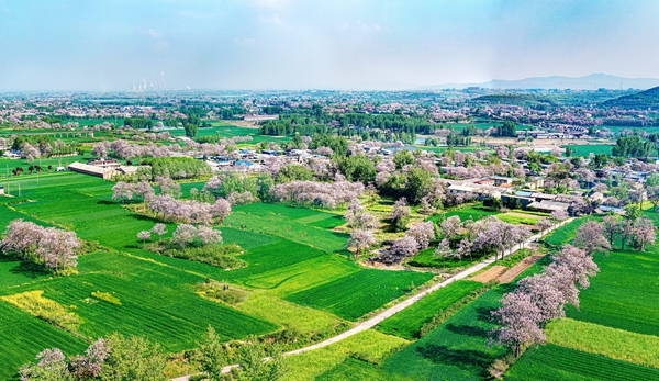 ��ͷح��������