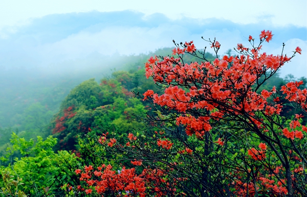 ��ͷح��������