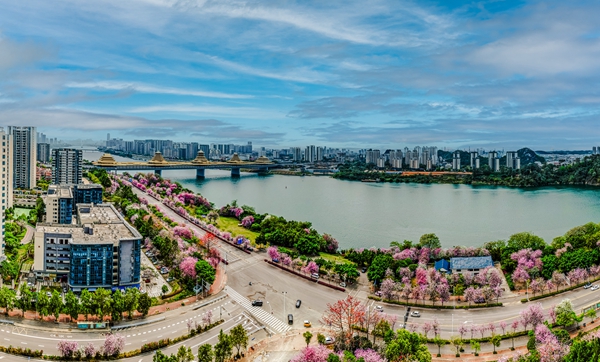 ��ͷح��������