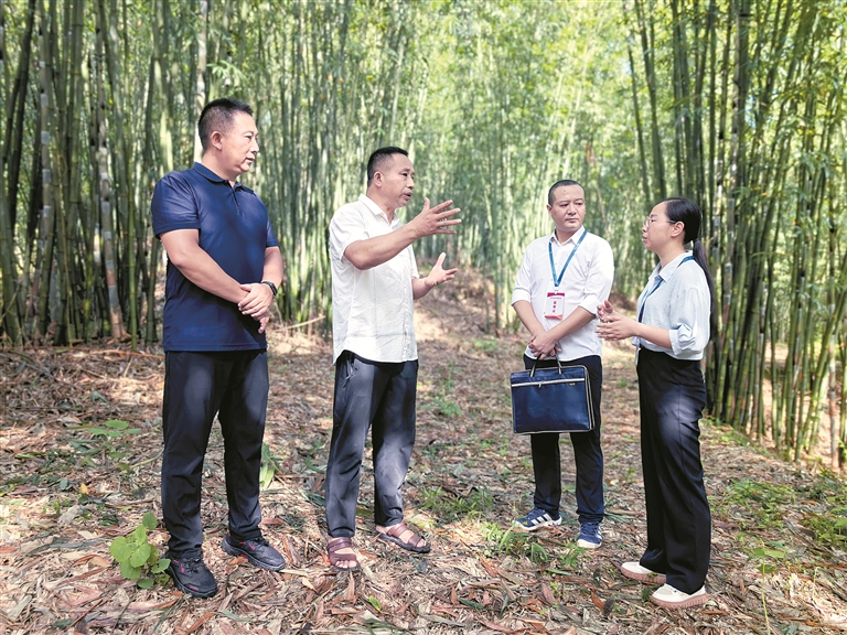 万水千山只等闲丨赤水河畔绿生金